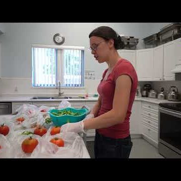 Staff in cooking class working with produce
