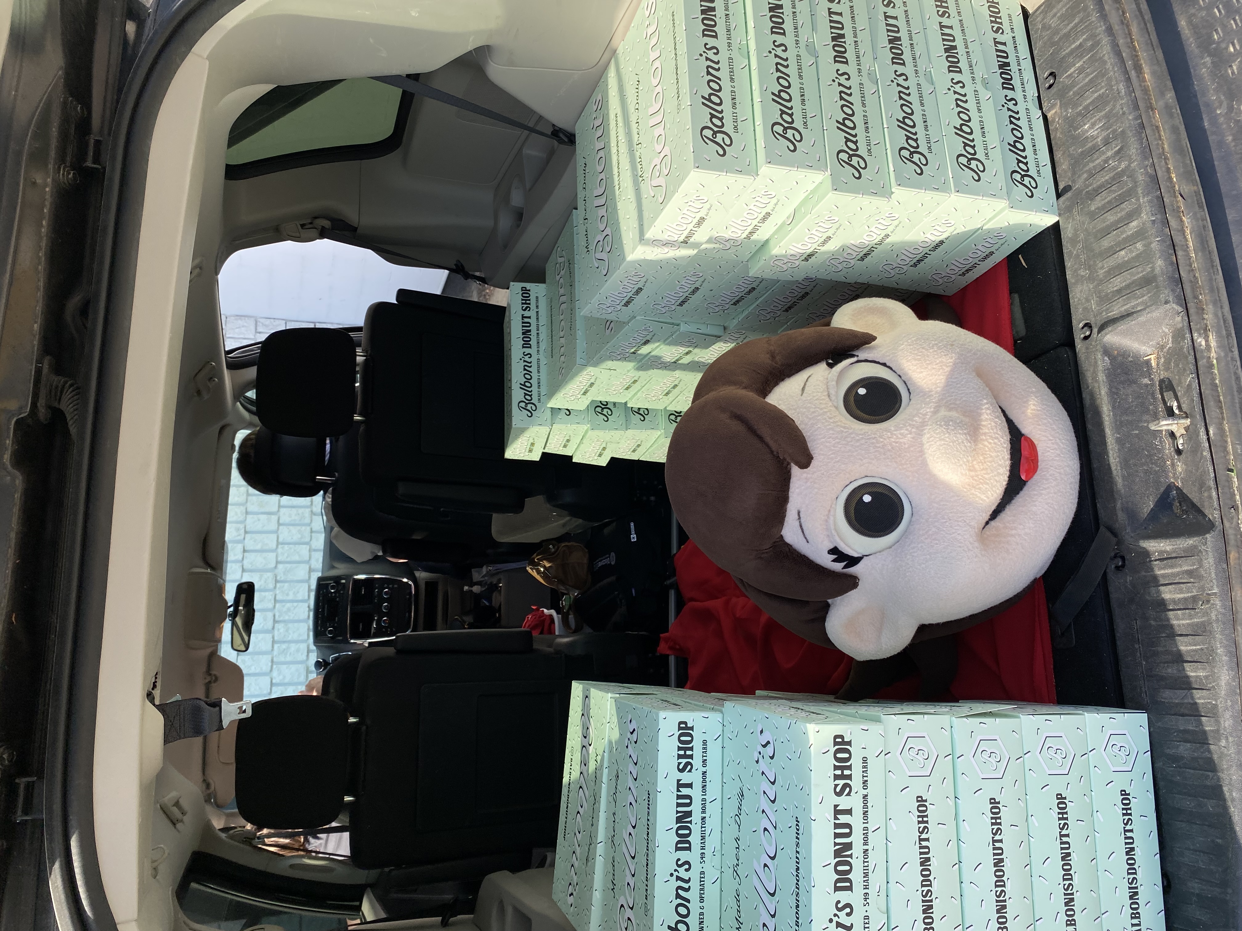 Boxes of donuts in back of minivan. 